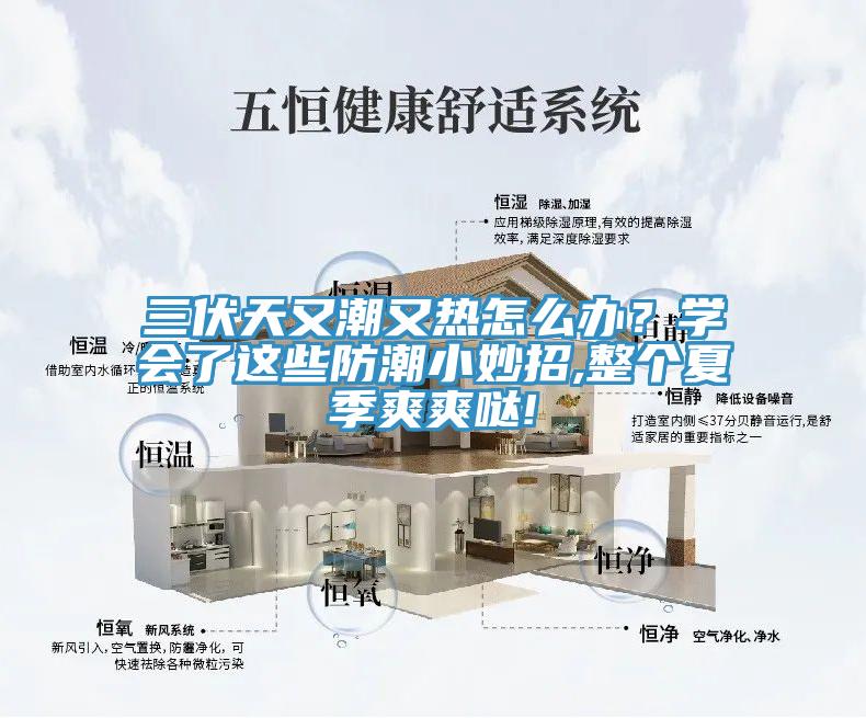 三伏天又潮又熱怎么辦？學(xué)會(huì)了這些防潮小妙招,整個(gè)夏季爽爽噠!