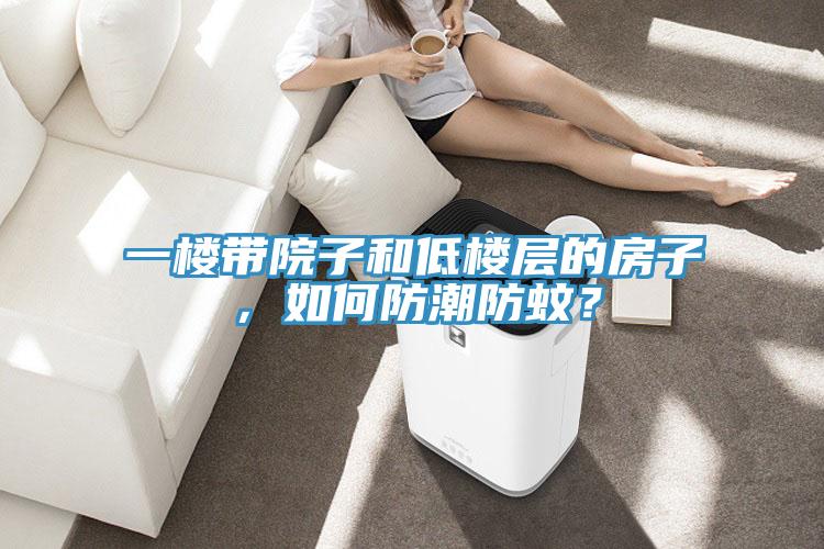 一樓帶院子和低樓層的房子，如何防潮防蚊？
