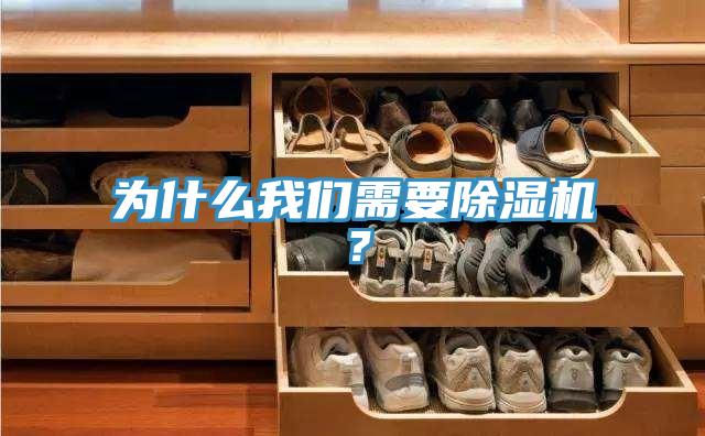 為什么我們需要除濕機？