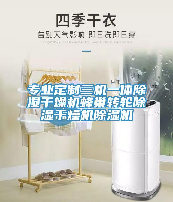 專業(yè)定制三機一體除濕干燥機蜂巢轉輪除濕干燥機除濕機