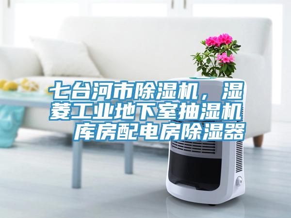 七臺(tái)河市除濕機(jī)，濕菱工業(yè)地下室抽濕機(jī)  庫(kù)房配電房除濕器