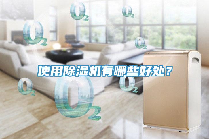 使用除濕機有哪些好處？
