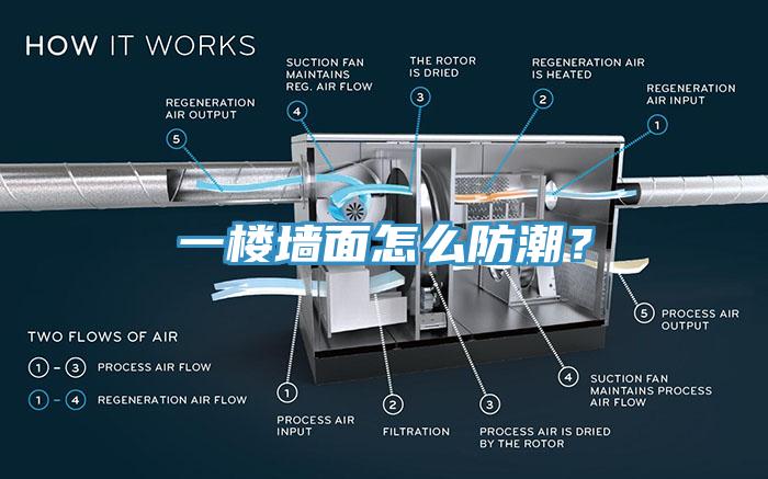 一樓墻面怎么防潮？