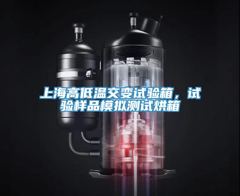 上海高低溫交變?cè)囼?yàn)箱，試驗(yàn)樣品模擬測(cè)試烘箱