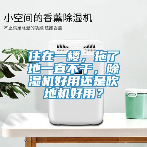 住在一樓，拖了地一直不干，除濕機(jī)好用還是吹地機(jī)好用？