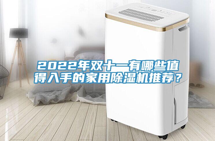2022年雙十一有哪些值得入手的家用除濕機推薦？