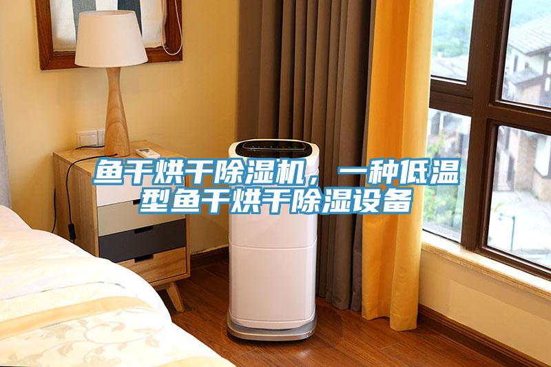 魚干烘干除濕機(jī)，一種低溫型魚干烘干除濕設(shè)備