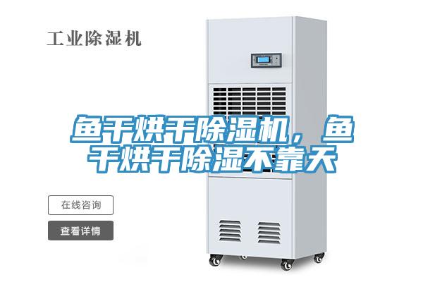 魚干烘干除濕機(jī)，魚干烘干除濕不靠天