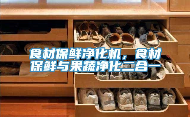 食材保鮮凈化機(jī)，食材保鮮與果蔬凈化二合一