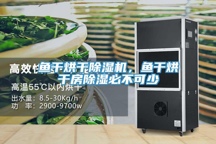 魚干烘干除濕機(jī)，魚干烘干房除濕必不可少