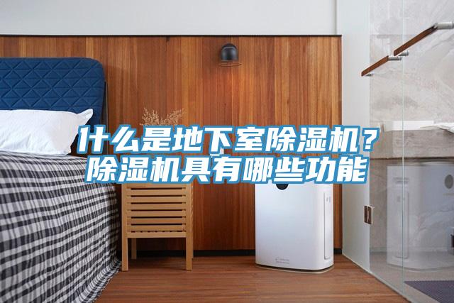 什么是地下室除濕機(jī)？除濕機(jī)具有哪些功能