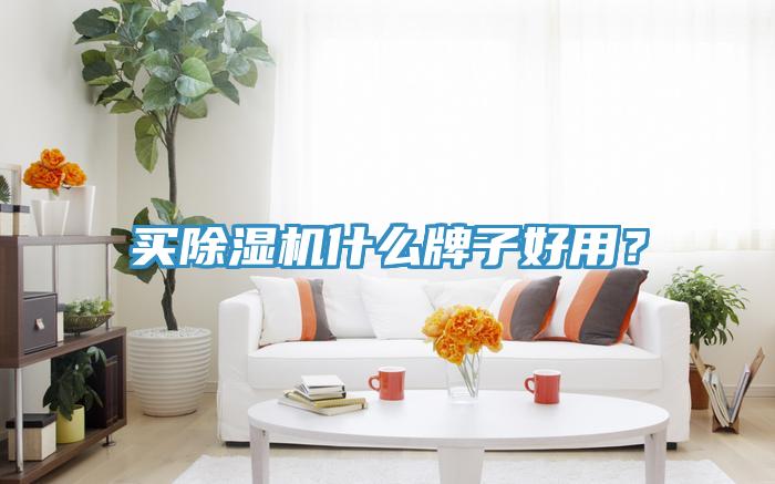 買除濕機(jī)什么牌子好用？