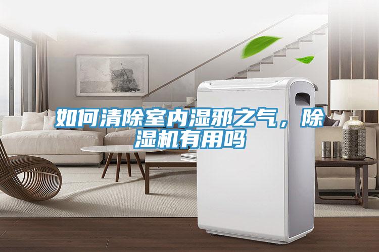 如何清除室內(nèi)濕邪之氣，除濕機(jī)有用嗎