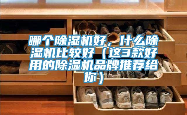哪個除濕機好，什么除濕機比較好（這3款好用的除濕機品牌推薦給你）