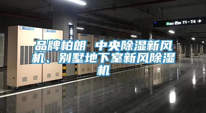 品牌柏朗 中央除濕新風(fēng)機(jī)、別墅地下室新風(fēng)除濕機(jī)