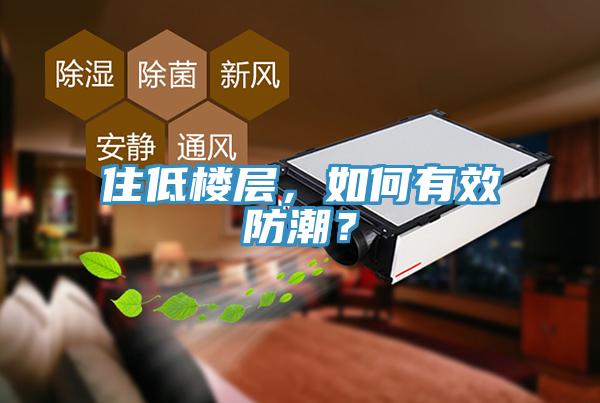 住低樓層，如何有效防潮？