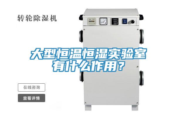 大型恒溫恒濕實(shí)驗(yàn)室有什么作用？