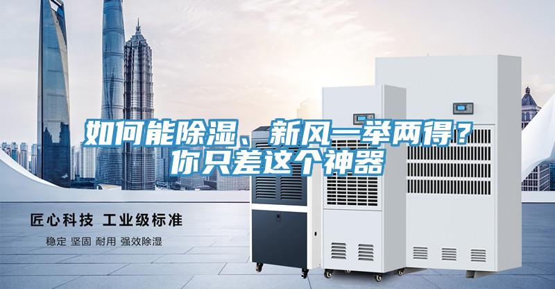 如何能除濕、新風(fēng)一舉兩得？你只差這個(gè)神器