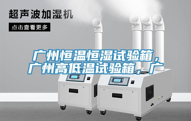 廣州恒溫恒濕試驗(yàn)箱，廣州高低溫試驗(yàn)箱，廣