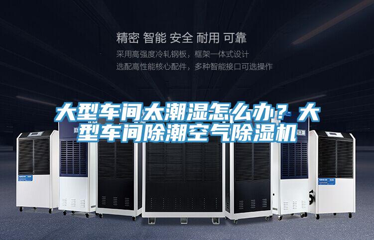 大型車間太潮濕怎么辦？大型車間除潮空氣除濕機(jī)
