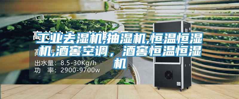工業(yè)去濕機(jī),抽濕機(jī),恒溫恒濕機(jī),酒窖空調(diào)，酒窖恒溫恒濕機(jī)