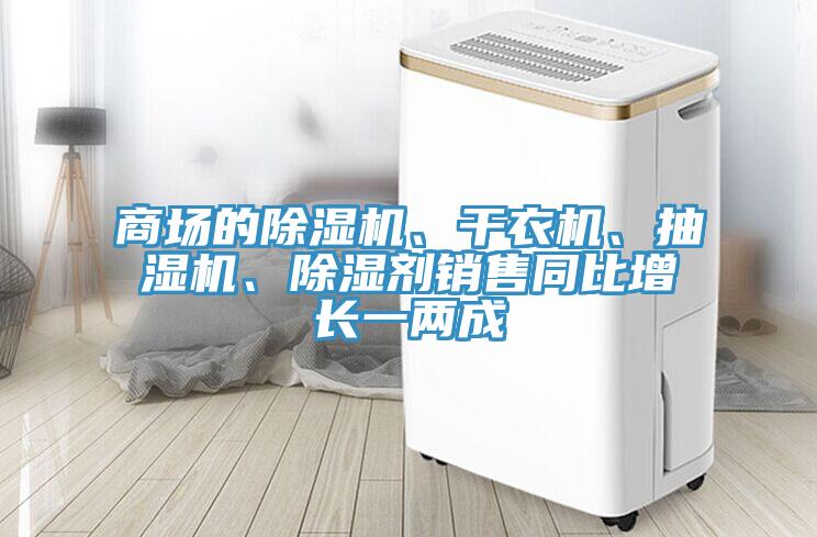 商場的除濕機、干衣機、抽濕機、除濕劑銷售同比增長一兩成