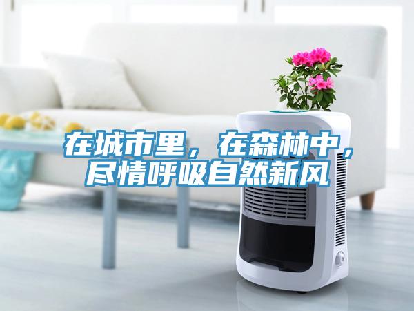 在城市里，在森林中，盡情呼吸自然新風(fēng)