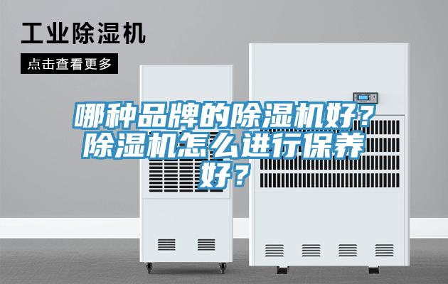 哪種品牌的除濕機好？除濕機怎么進行保養(yǎng)好？