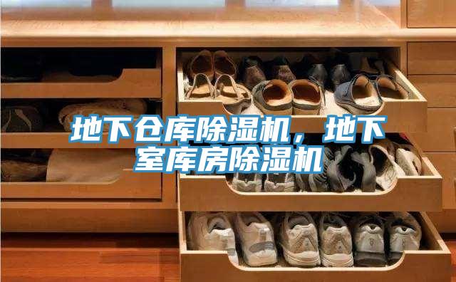 地下倉(cāng)庫(kù)除濕機(jī)，地下室?guī)旆砍凉駲C(jī)