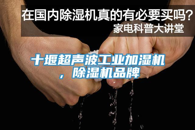 十堰超聲波工業(yè)加濕機，除濕機品牌