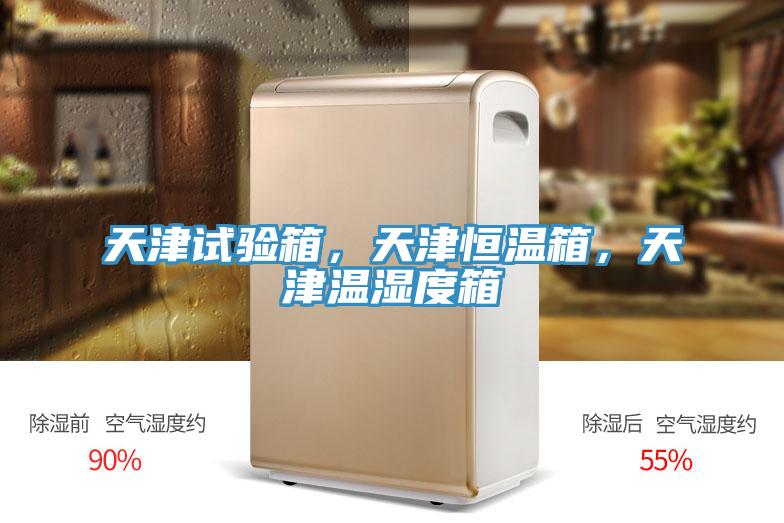 天津試驗(yàn)箱，天津恒溫箱，天津溫濕度箱
