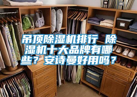 吊頂除濕機(jī)排行 除濕機(jī)十大品牌有哪些？安詩曼好用嗎？