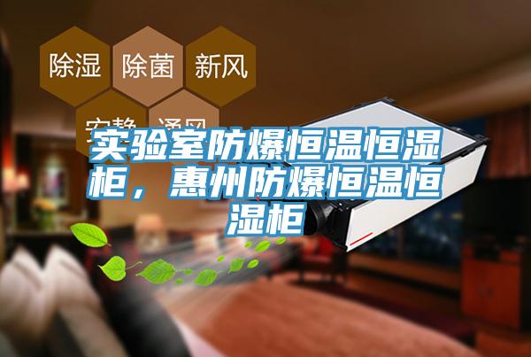 實(shí)驗(yàn)室防爆恒溫恒濕柜，惠州防爆恒溫恒濕柜