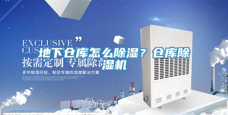 地下倉(cāng)庫(kù)怎么除濕？倉(cāng)庫(kù)除濕機(jī)