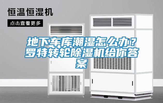 地下車庫潮濕怎么辦？羅特轉輪除濕機給你答案