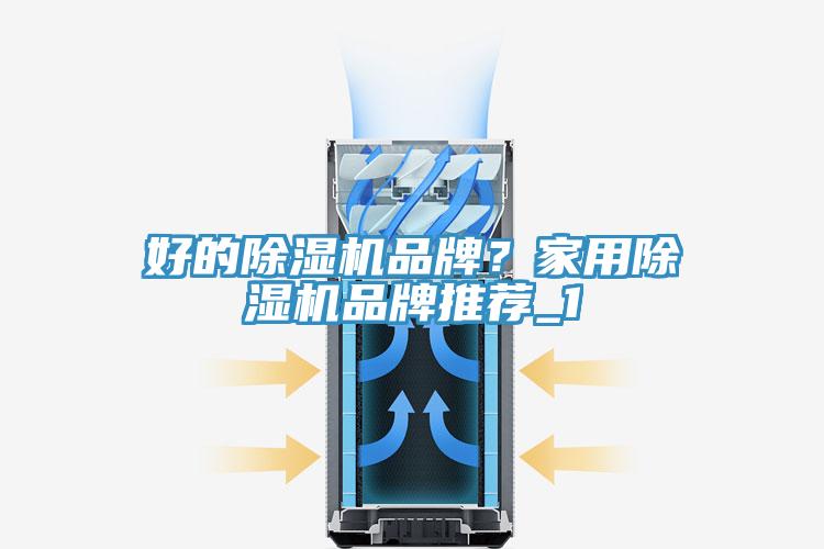 好的除濕機(jī)品牌？家用除濕機(jī)品牌推薦_1