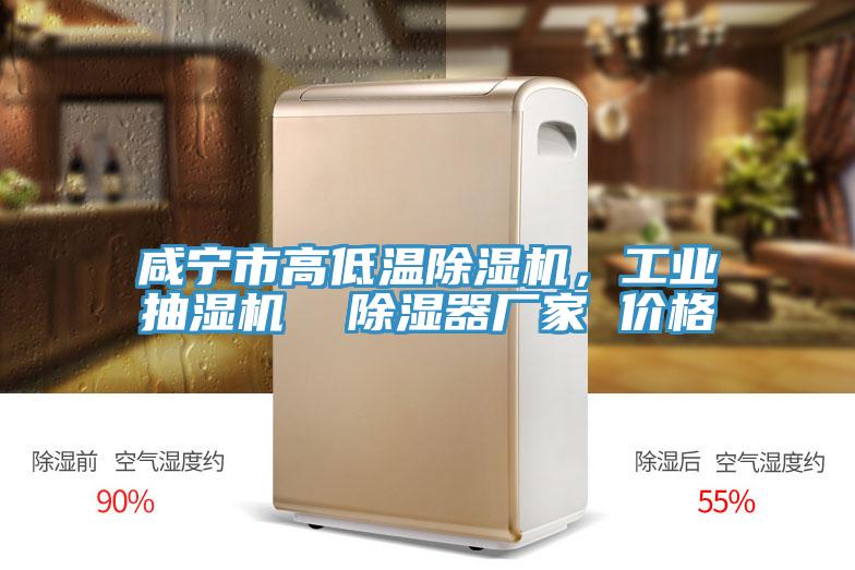 咸寧市高低溫除濕機，工業(yè)抽濕機  除濕器廠家 價格