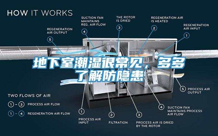 地下室潮濕很常見，多多了解防隱患