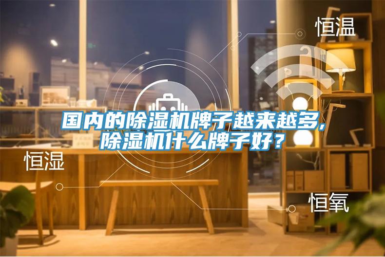 國(guó)內(nèi)的除濕機(jī)牌子越來(lái)越多,除濕機(jī)什么牌子好？