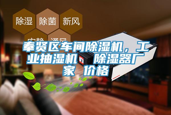 奉賢區(qū)車間除濕機(jī)，工業(yè)抽濕機(jī)  除濕器廠家 價格