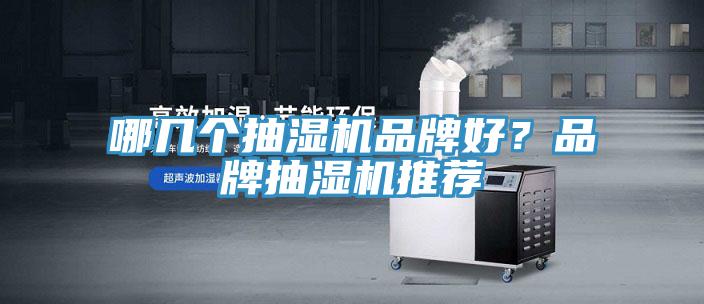哪幾個抽濕機品牌好？品牌抽濕機推薦