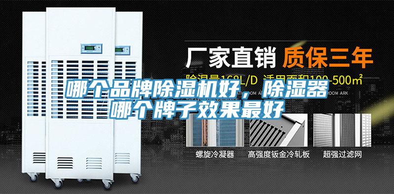 哪個(gè)品牌除濕機(jī)好，除濕器哪個(gè)牌子效果最好