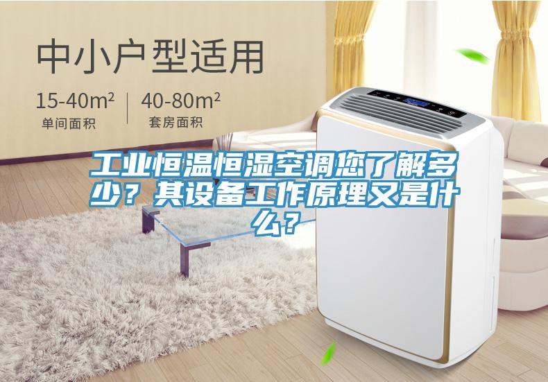 工業(yè)恒溫恒濕空調(diào)您了解多少？其設備工作原理又是什么？