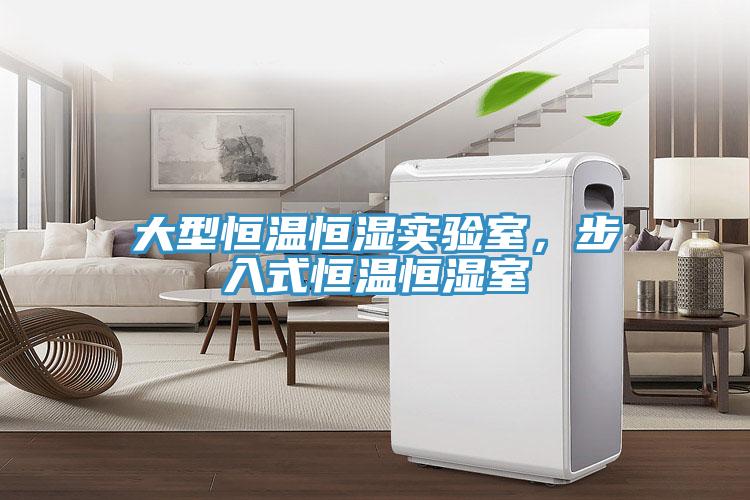 大型恒溫恒濕實(shí)驗(yàn)室，步入式恒溫恒濕室