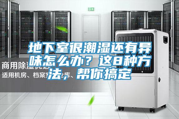 地下室很潮濕還有異味怎么辦？這8種方法，幫你搞定