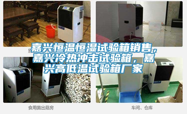 嘉興恒溫恒濕試驗(yàn)箱銷售，嘉興冷熱沖擊試驗(yàn)箱，嘉興高低溫試驗(yàn)箱廠家