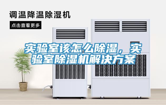 實驗室該怎么除濕，實驗室除濕機解決方案