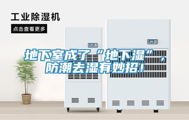 地下室成了“地下濕”，防潮去濕有妙招！