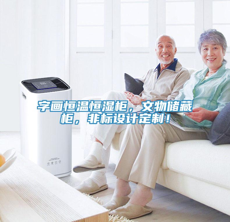 字畫恒溫恒濕柜，文物儲(chǔ)藏柜，非標(biāo)設(shè)計(jì)定制！