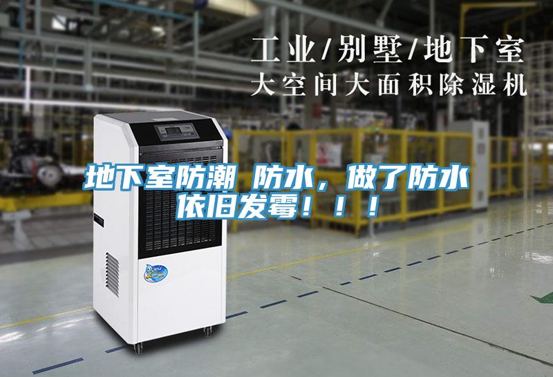 地下室防潮≠防水，做了防水依舊發(fā)霉?。?！